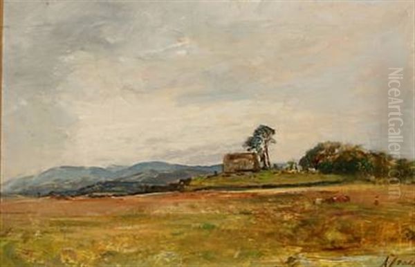 South African Landscape - view 1