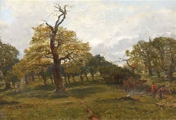 Cadzow Forest, Early Summer - view 1