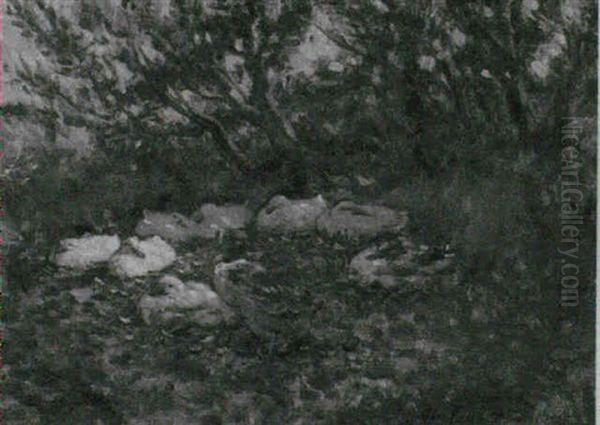 Drakes And Ducks Resting By The River - view 1