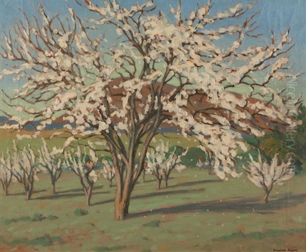 The Prune Tree - view 1