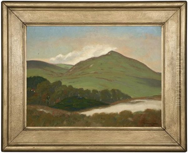 The Green Hill - view 1
