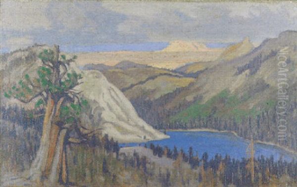 Lake Teneya, High Sierras - view 1