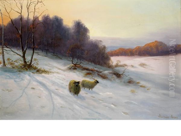 Sheep In Winter Landscape - view 1