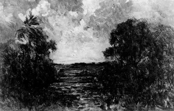 Tropical Landscape - view 1