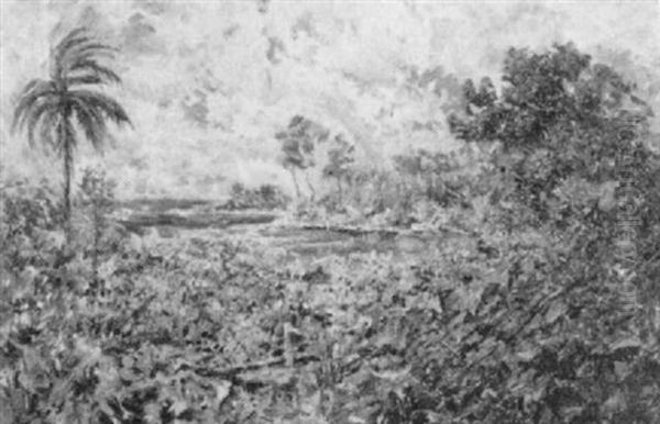 Tropical Landscape With Rainbow - view 1
