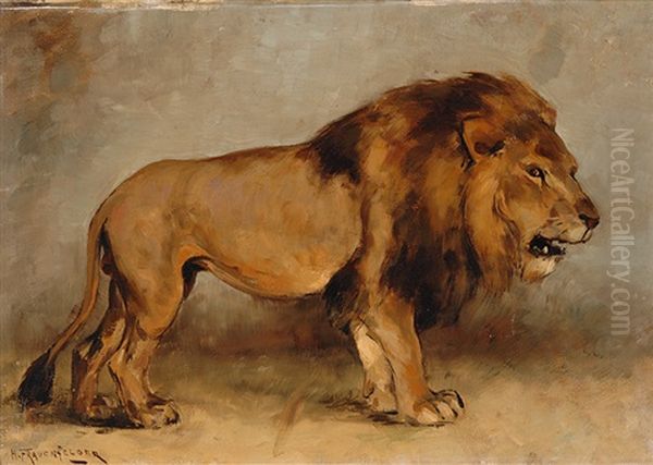 Lion - view 1