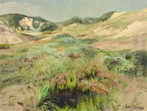 Dunes A Heist-sur-mer