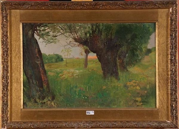 Les Saules - view 1