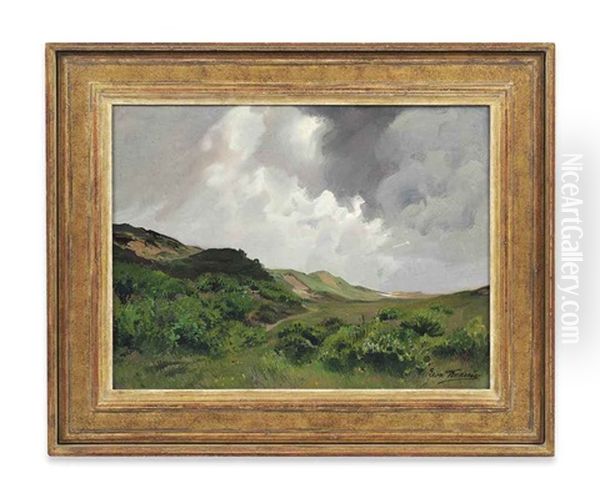The Passing Storm - view 1