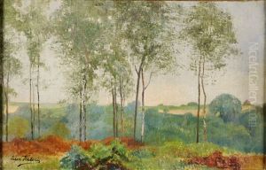 Les Bouleaux