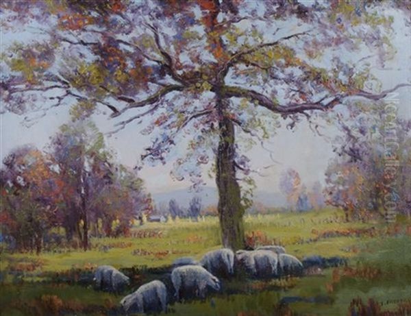 Grazing Sheep - view 1