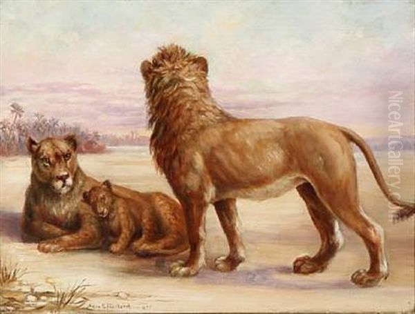 A Lion Family On The Savannah - view 1