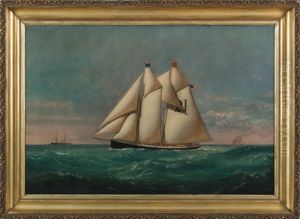 New York Pilot Schooner "america", No. 21, With Owner's Flag "w.h.a." New York Pilot Schooner "america", No. 21, With Owner's Flag "w.h.a."