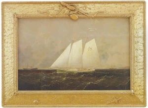 Marine Scene Of The Pilot Boat "enchantress", Under Sail With The Sidewheeler "alaska" And Other Vessels In The Background Off A Rocky Shore by Conrad Freitag