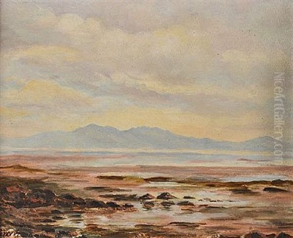 Boglands - view 1
