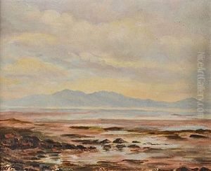 Boglands