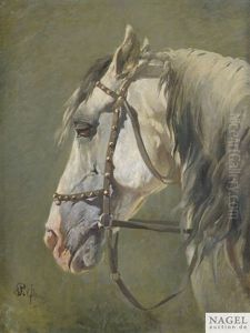 Bildnis Eines Schimmels Mit Grauer Mahne by Rudolf Feodorovich Frentz