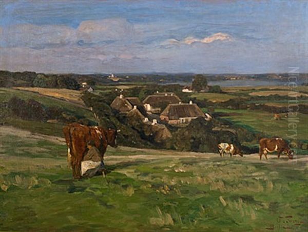 Sommerlandschaft Rugen - view 1