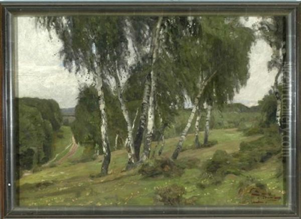 Birken An Einem Hang In Weiter Waldlandschaft - view 1