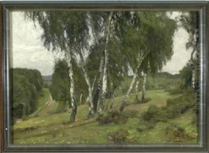 Birken An Einem Hang In Weiter Waldlandschaft by Oskar Frenzel