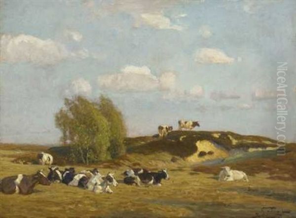 Ruhende Kuhe In Markischer Landschaft - view 1
