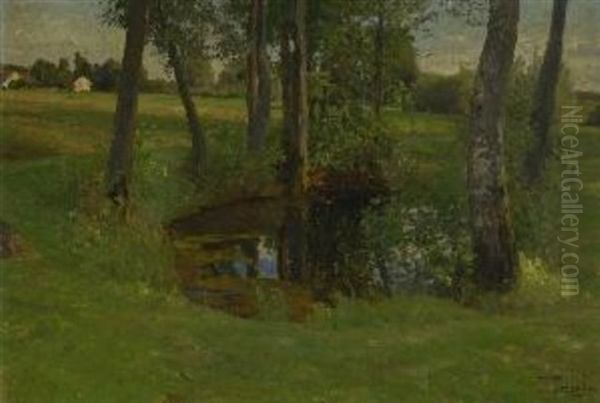 Teich In Baumlandschaft - view 1