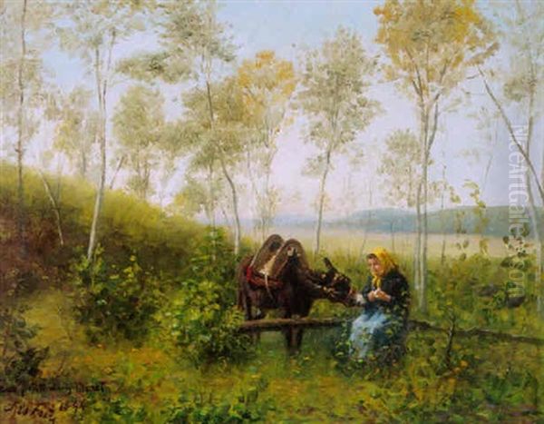 A Woman And Her Mule In A Wooded Landscape - view 1