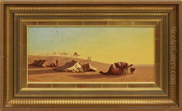 A Halt In The Desert - view 1