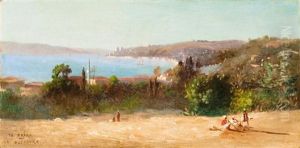 Vue Panoramique Du Bosphore
