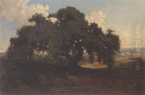 Le Vieux Maronnier Le Vieux Maronnier