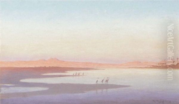 Les Herons En Haute Egypte - view 1