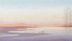 Les Herons En Haute Egypte Les Herons En Haute Egypte
