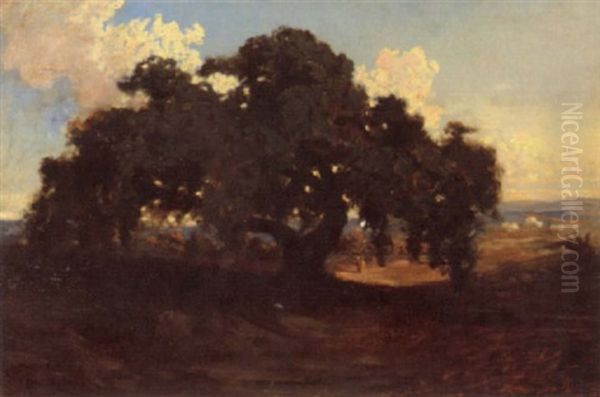 The Old Horse Chesnut Tree - view 1