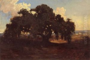 The Old Horse Chesnut Tree The Old Horse Chesnut Tree
