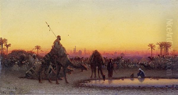 Camels At A Watering Hole Outside Cairo - view 1