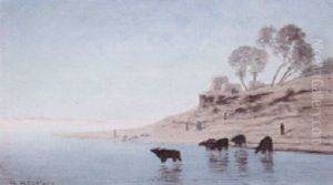 Porteuses D'eau Et Les Buffles