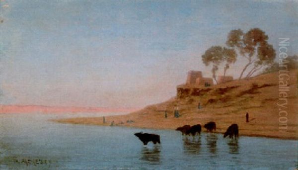 Crepuscule, Buffles Au Bord Du Nil - view 1