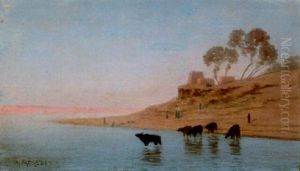 Crepuscule, Buffles Au Bord Du Nil