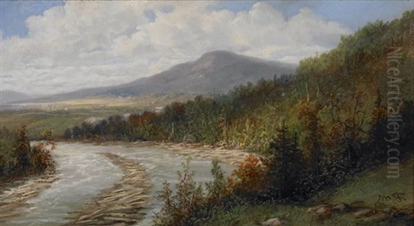 Untitled (riverbank) - view 1