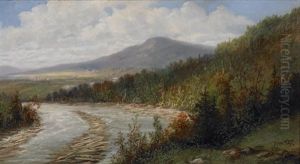 Untitled (riverbank)
