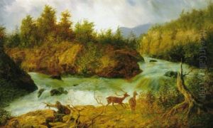 Deer In The North Carolina Mountains