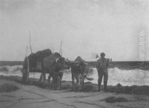 Harvesting Seaweed