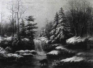 Bear Traversing A Waterfall