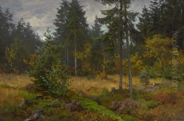 Waldlichtung - view 1