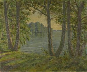 Blick Auf Den Wannsee