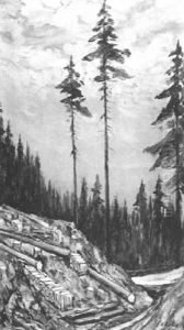 Kiefernwald - Rohdung