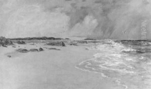 Strand Mit Mowen Vor Dem Sturm