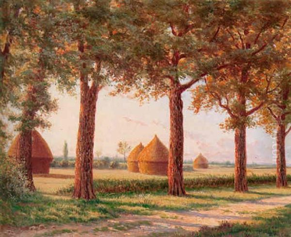 A Tree Lined Road With Haystacks In The Background - view 1