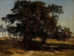 Campagnalandschaft Bei Rom