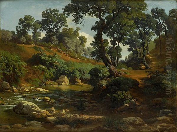 Bewaldete Hugelige Landschaft Mit Bach - view 1